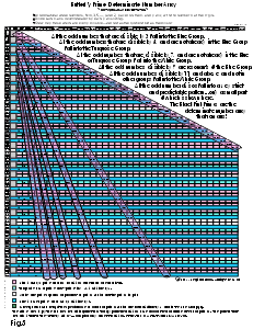 Fig 5:Butterfly Prime Determinant Number Array