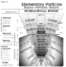 Dark matter=Dark energy, Figure 10.Elementary Particles, Bosons to Fermions to Bosons, Fundamental Forces